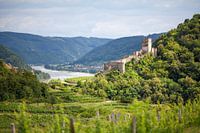 Wachau near Spitz with Hinterhaus Ruin