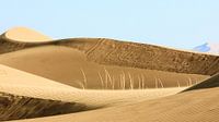 Badain Jaran woestijn (China)