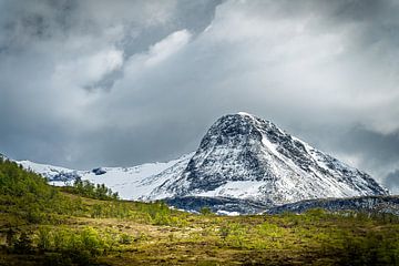 Besneeuwde Top boven Groen Dal in Noorwegen van Joost Lagerweij