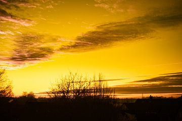 Infrarood fotografie zonsondergang van Jolanda de Jong-Jansen