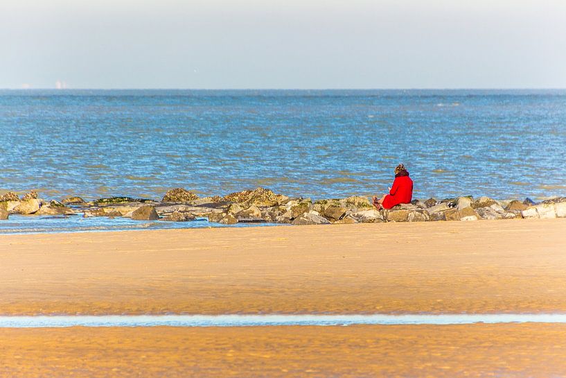 Dame in Rot von didier de borle