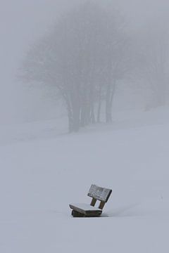 Nebliger Minimalismus von Angelique Raaijmakers