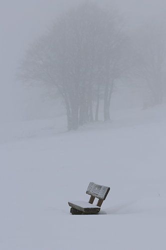 Misty minimalism