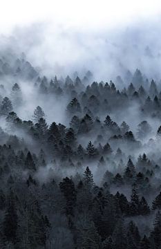 Nebliger Berghang von Sam Mannaerts