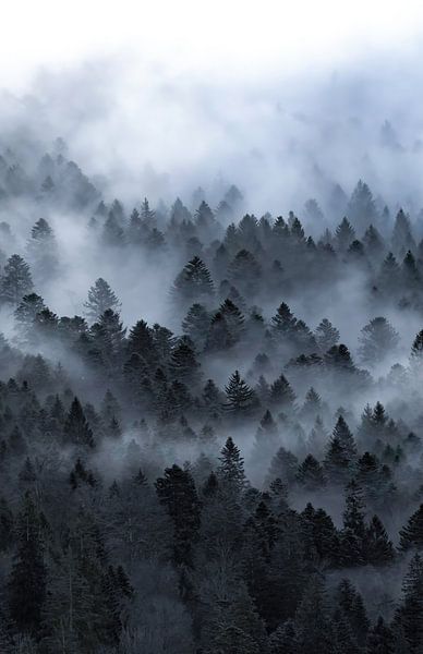 Nebliger Berghang von Sam Mannaerts