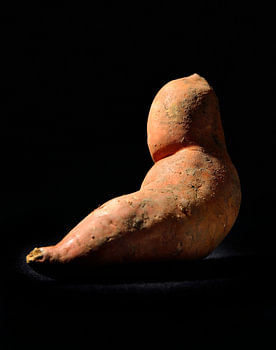 Zoete aardappel