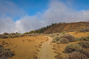 Wandelpad door de bergen van Teide nationaal park, Tenerife van Kristof Lauwers