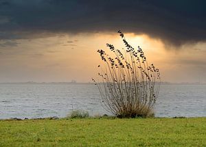 Zeeland.