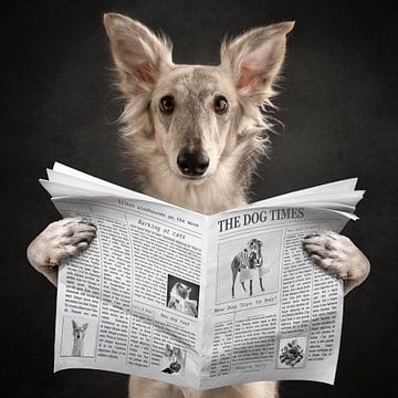 Hondennieuws! van Nuelle Flipse