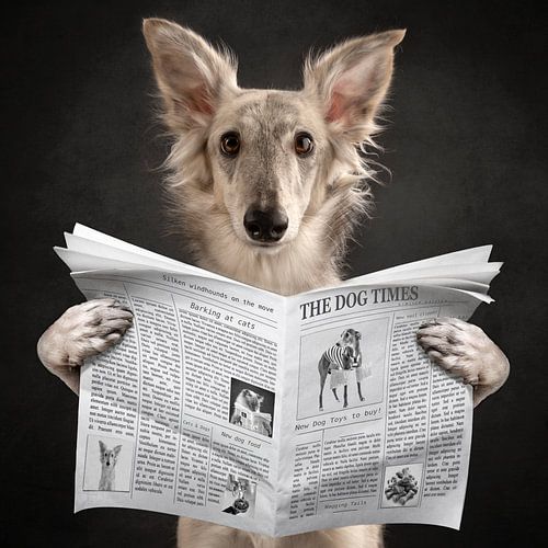 Neuigkeiten für Hunde! von Nuelle Flipse