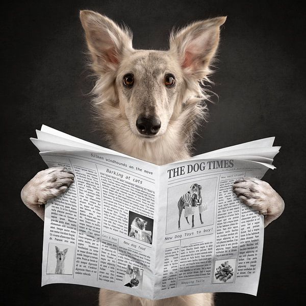 Hondennieuws! van Nuelle Flipse