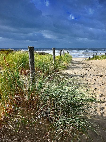 Strand Katwijk aan Zee von Peter van Rijn