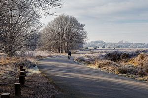 Landschap winter rijp