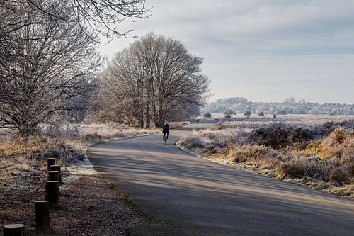 Landschap winter rijp