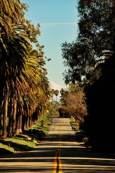 California von Christoph Pohlner