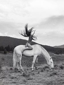 La fille du cheval sauvage sur Dagmar Pels