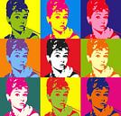 Pop art - Audrey Hepburn by Didden Art thumbnail