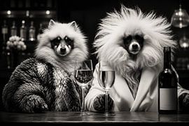 Chardog-nay von Salt Theory