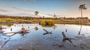 Hatertse et Overasselt Fens
