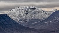Montagnes sur le Svalbard par Cor de Bruijn Aperçu