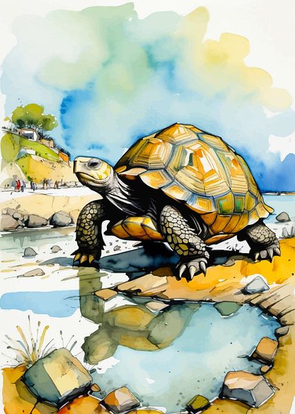 Greek Tortoise Watercolor by MIROKKU