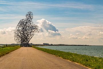 Zittende man kijkend over het Markermeer bij Lelystad van René Holtslag