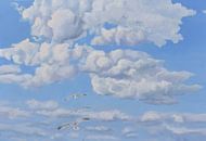 22/5000 Summer sky with gulls by Yvon Schoorl thumbnail