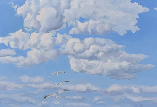 22/5000 Summer sky with gulls by Yvon Schoorl
