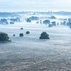 Nevel over de Kalmthoutse heide van Teuni's Dreams of Reality