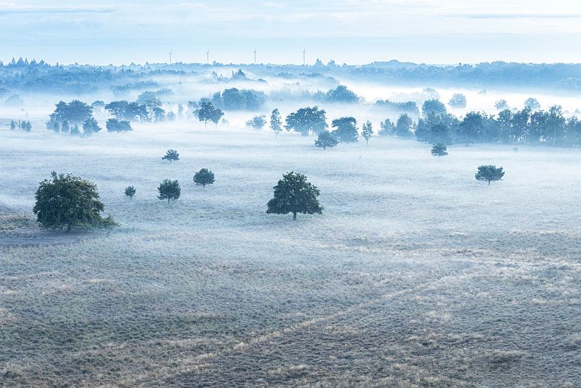 Mist over the Kalmthoutse heide by Teuni's Dreams of Reality