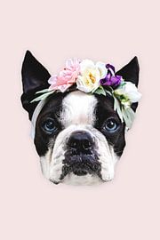 Fashion frenchie von Ms Sanderz