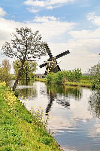 Polder mill Delphine 1874