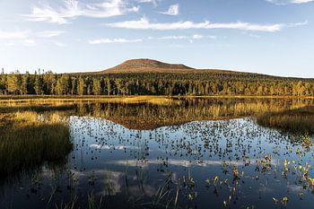 Icon of Dalarna, Sweden | Mount Städjan Reflected