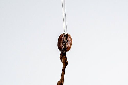 Hoe koffie wordt gemaakt!