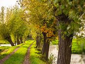 beautiful walking path through the polder in Krimpenerwaard by Lima Fotografie thumbnail