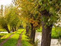 prachtig wandelpad door de polder in de Krimpenerwaard