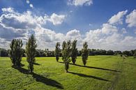 Landschap Delft van hans van dorp thumbnail