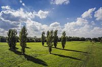 Landschap Delft