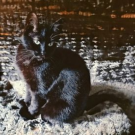 Tomcat NOCSI nr1 van Pia Schneider