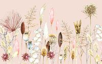 Dried flowers and pampus grass