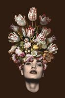 Tulpe (brauner Hintergrund)