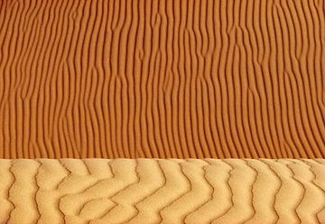 Detail van zandduin in Sahara woestijn. van Frans Lemmens