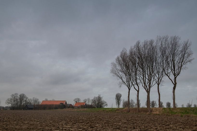 Zeeland landscape by René Wolters