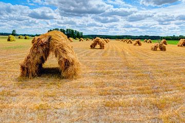 Hayricks in hut shape are laying on the meadow by Yevgen Belich