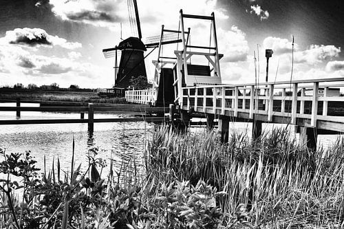 Kinderdijk Zwart Wit