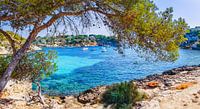 Strand en baai van Mallorca