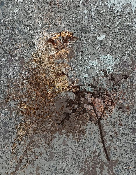 Trockene Blätter von Dominique Landau