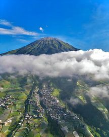 Landscape by Ricko Van Houten