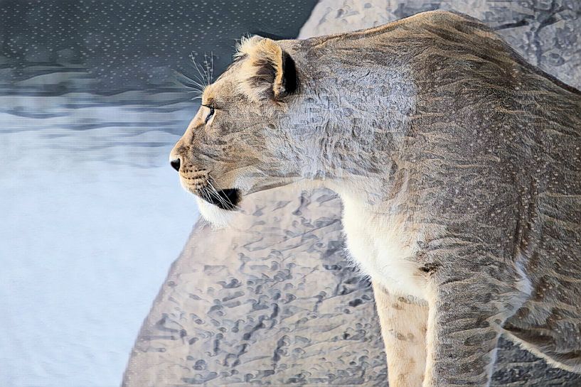Leo by Ans Houben