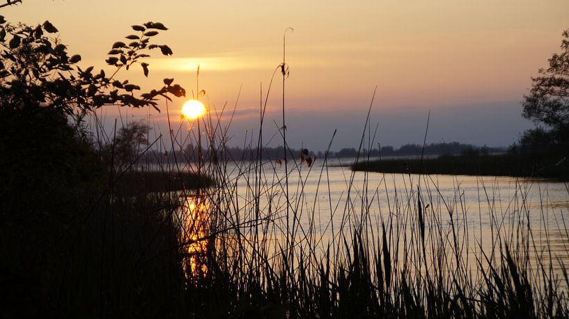 Sunset Blue Hand by Michel van der Vegt